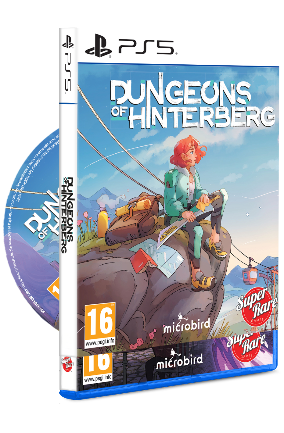 super-rare-games-ps5-20-dungeons-of-hinterberg-ps5-spiel-disc image 2