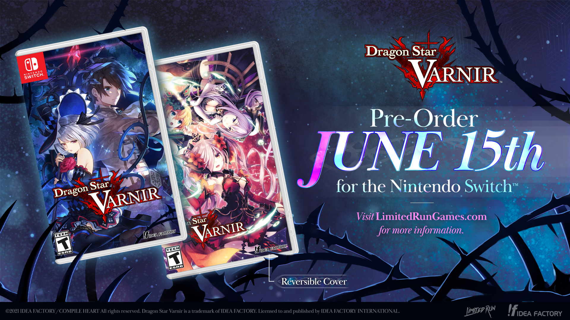 limited-run-dragon-star-varnir-switch-modul-standard-rpg image 2