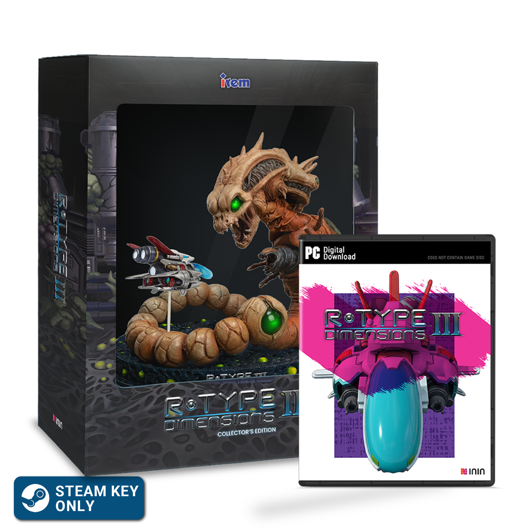 inin-r-type-dimensions-iii-pc-steam-key-collector-s-edition image 1
