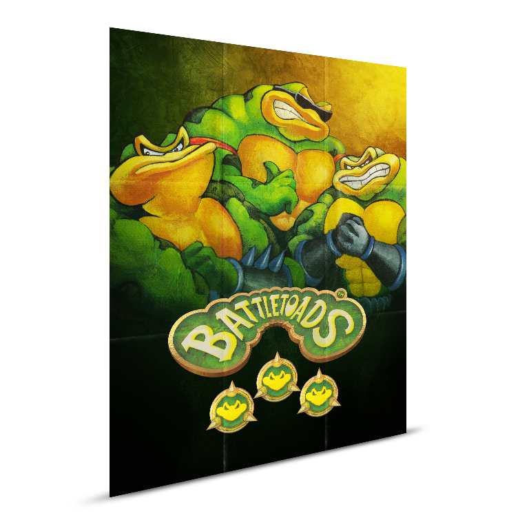 iam8bit-legacy-cartridge-battletoads-nes-modul-sammleredition image 6