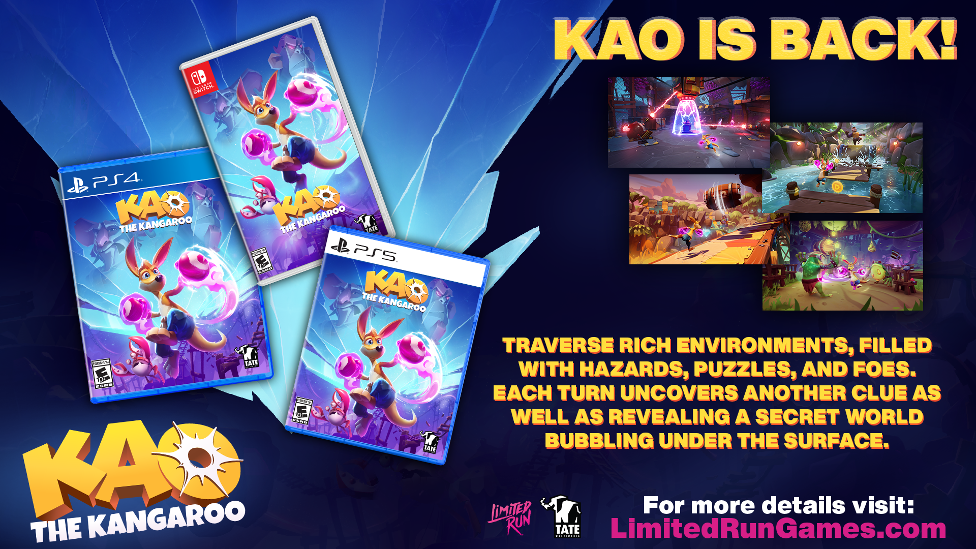 limited-run-kao-the-kangaroo-ps4-spiel-disc-standard image 3