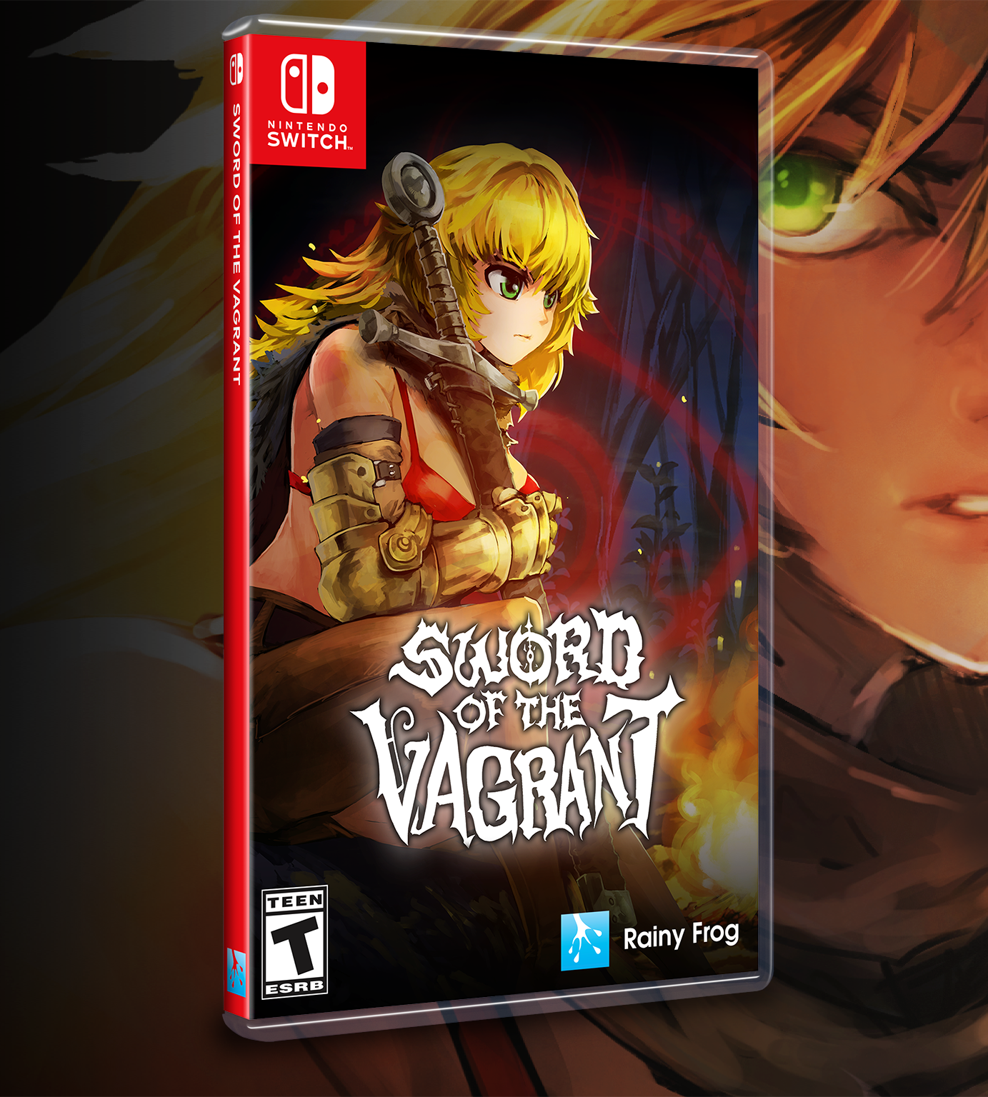 limited-run-sword-of-the-vagrant-switch-spiel-standard-edition image 2