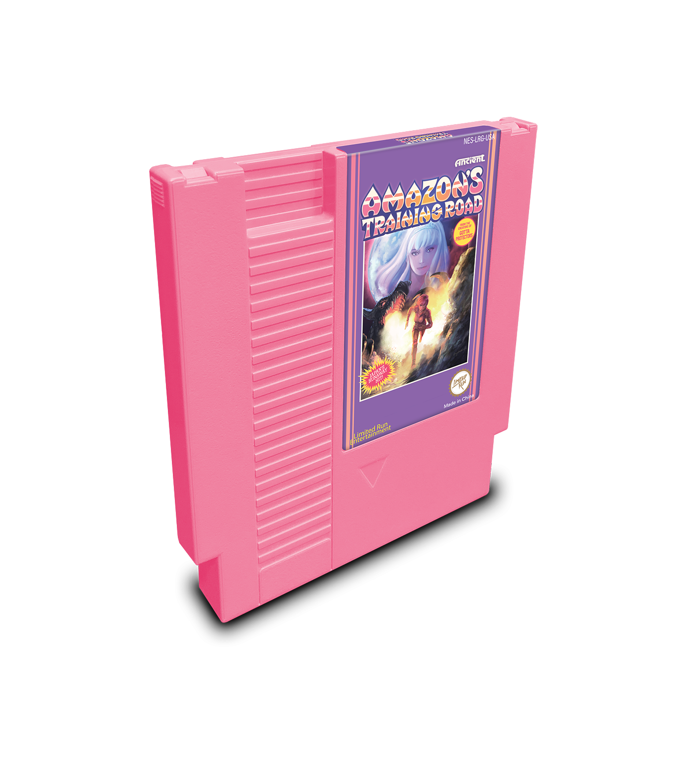 limited-run-amazons-training-road-nes-modul-standard-edition-retro image 2