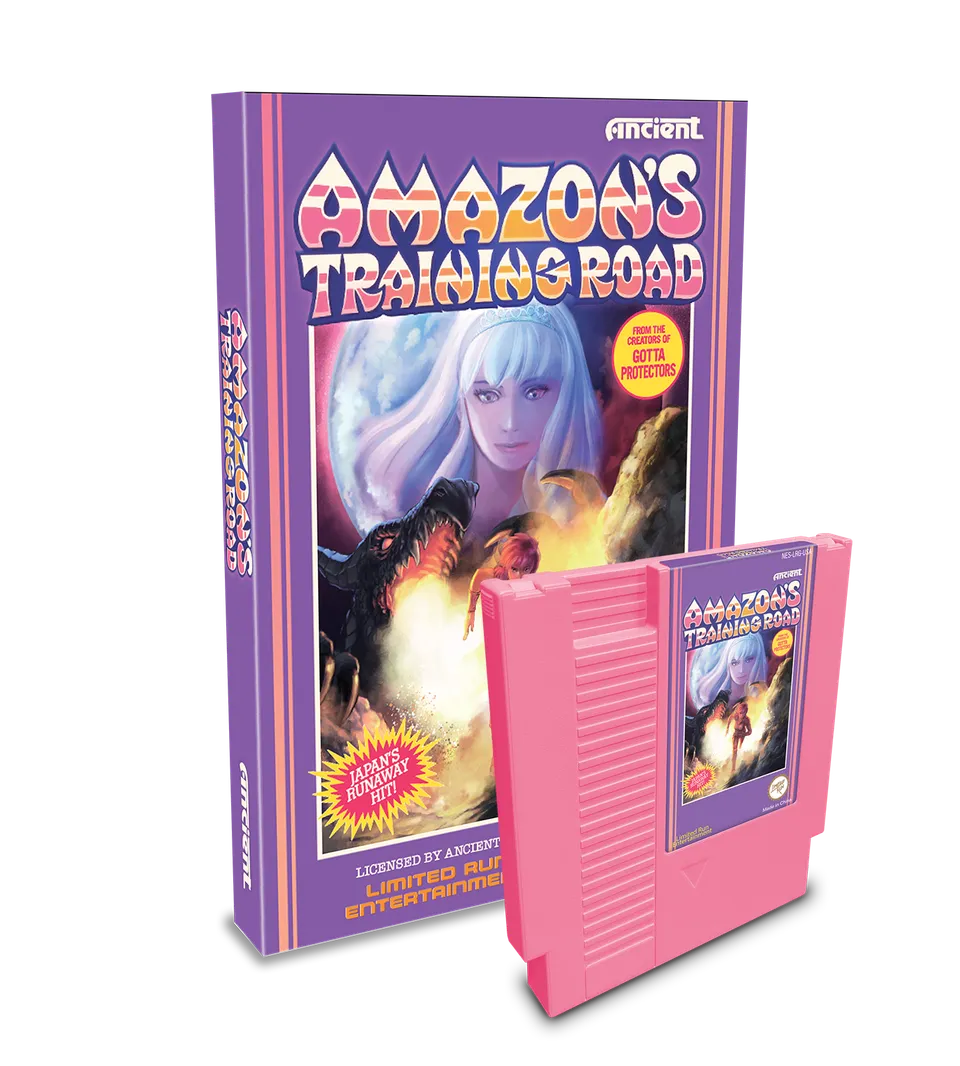 limited-run-amazons-training-road-nes-modul-standard-edition-retro image 1